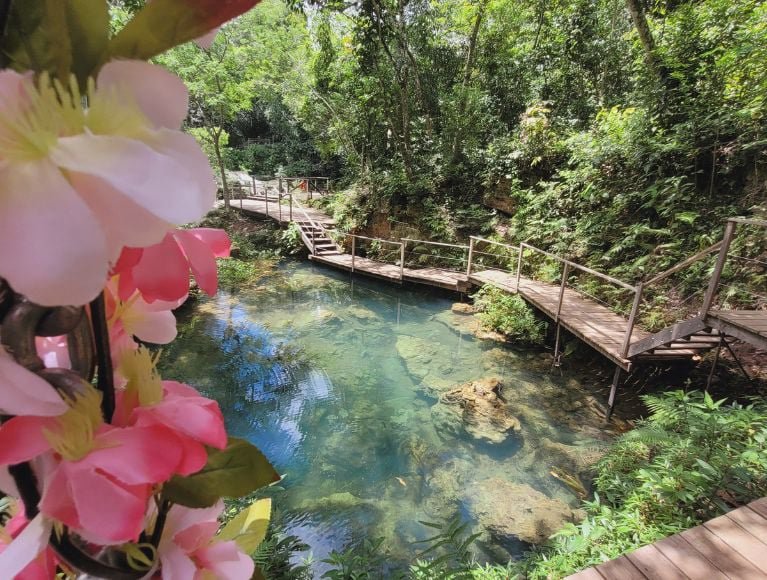 foto da água cristalina no parque das cachoeiras