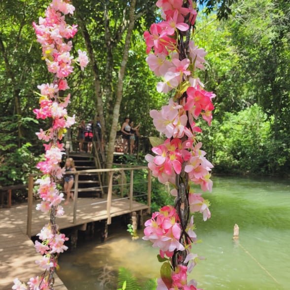 foto do balanço instagramavel