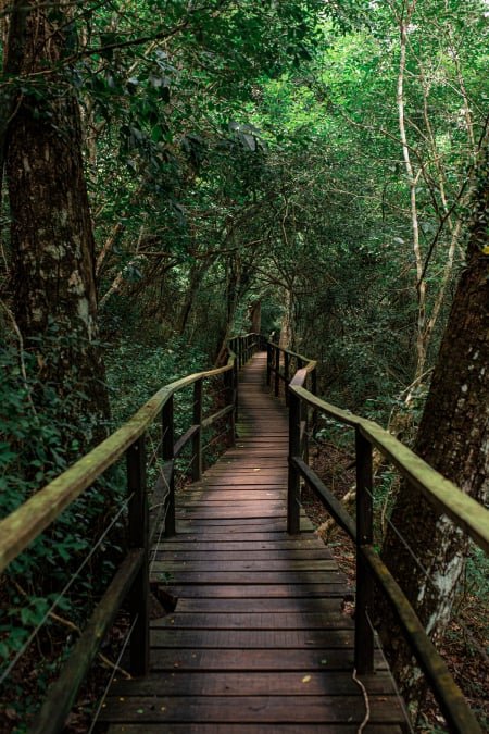 passeio mais leve de bonito e o mais lindo