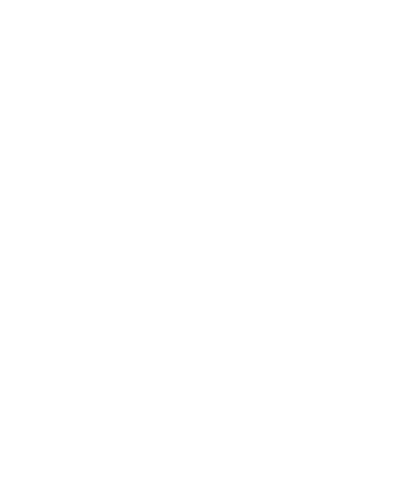 selo tripadvisor 2024